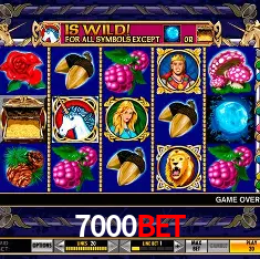 7000bet Rio de Janeiro - Bonus Terms
